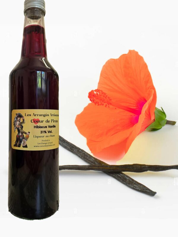 Hibiscus Vanille d'Ouganda