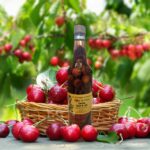 Image du produit précédent